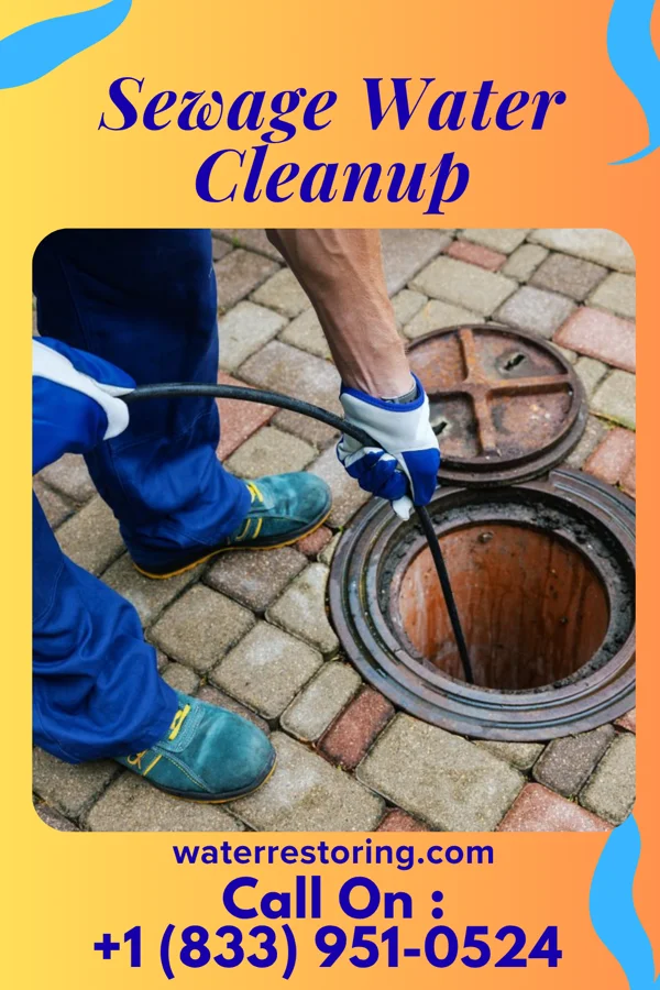 Sewage Water Cleanup in Owl Ranch, TX
